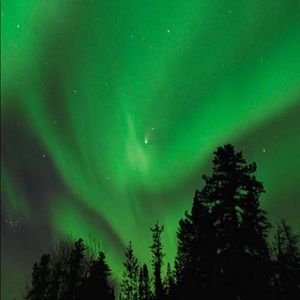 Meet your Posher, Curtisha